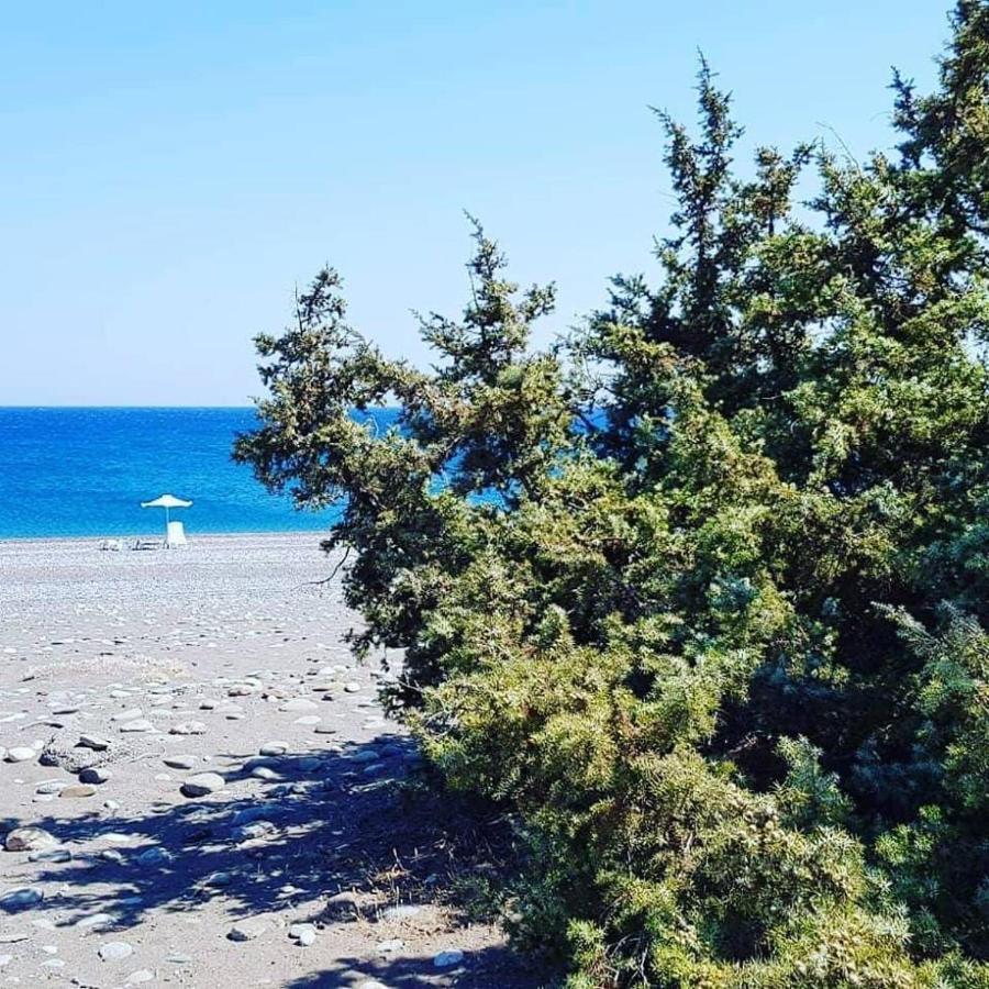 Cedrus And Sea, Beachfront House, Gennadi, Rhodes Exterior foto
